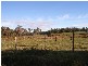 Lot 1  Weld Street, Beaconsfield TAS 7270