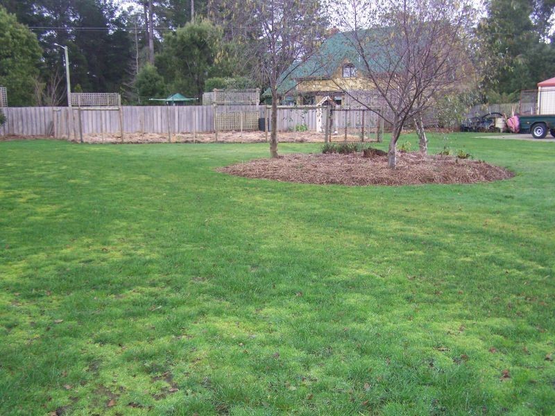 4  Swan Point Road, Swan Point TAS 7275