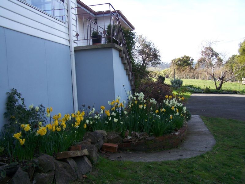 187  Rosevears Drive, Rosevears TAS 7277