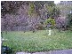 7  Bagot Street, Beauty Point TAS 7270