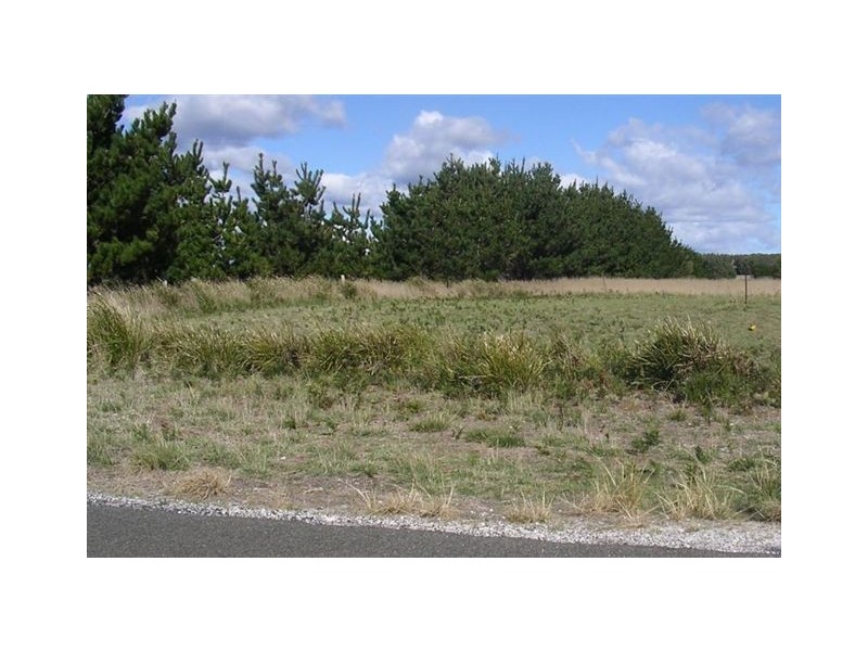 Lot 5  Main Road, Beechford TAS 7252