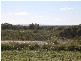 Lot 5  Main Road, Beechford TAS 7252