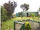 3  Little Street, George Town TAS 7253