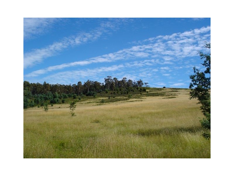 Bridgenorth  Road, Rosevale TAS 7292