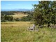 Bridgenorth  Road, Rosevale TAS 7292