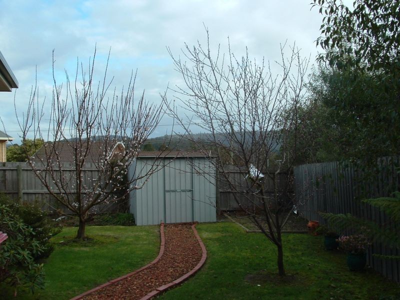 Unit 2/5  Amanda Court, West Launceston TAS 7250