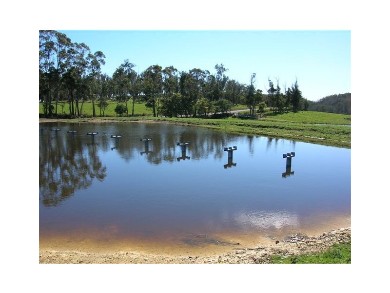 251 Flowery Gully Road, Flowery Gully TAS 7270