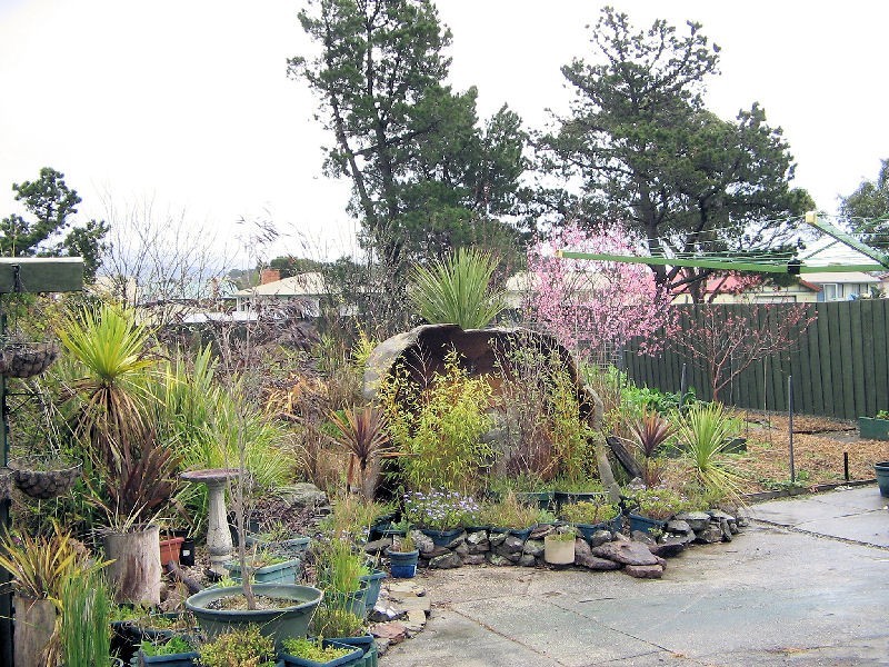 81  Friend Street, George Town TAS 7253
