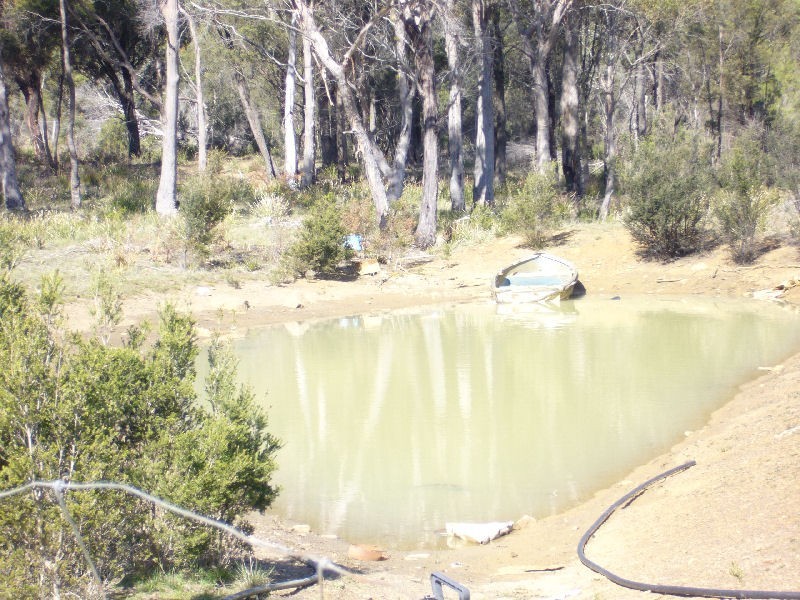 46  Alfred Street, George Town TAS 7253