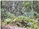 Pipers River TAS 7252