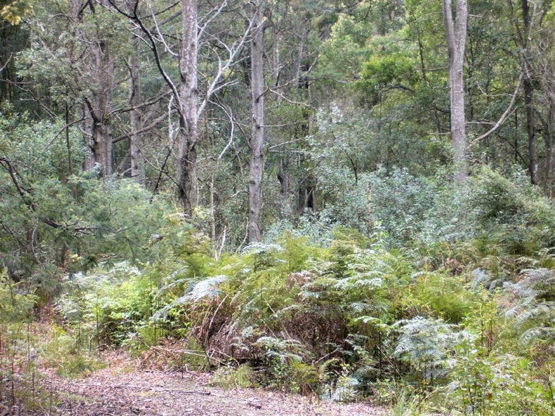 Pipers River TAS 7252