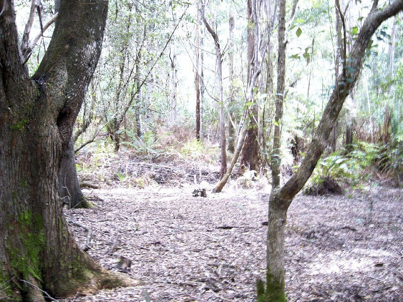 Pipers River TAS 7252