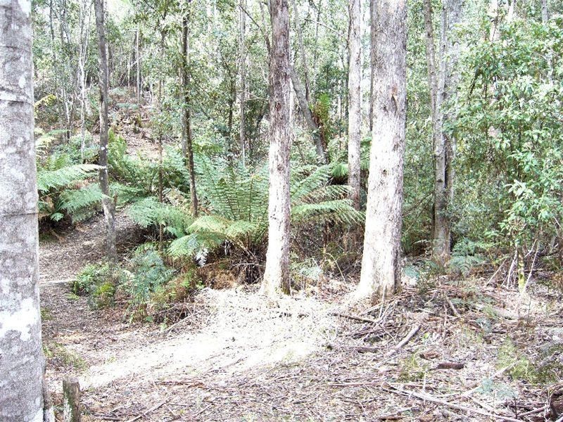 Pipers River TAS 7252