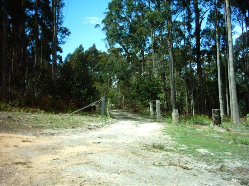 Pipers River TAS 7252