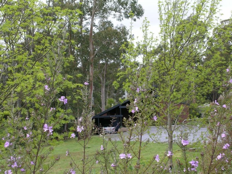 400 Gravelly Beach Road, Gravelly Beach TAS 7276