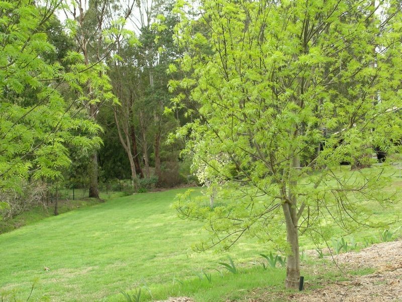 400 Gravelly Beach Road, Gravelly Beach TAS 7276
