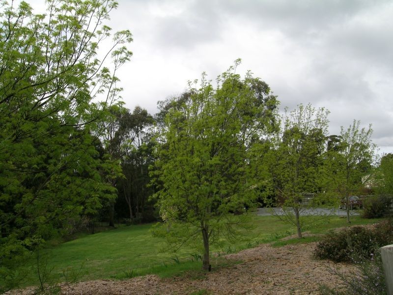 400 Gravelly Beach Road, Gravelly Beach TAS 7276