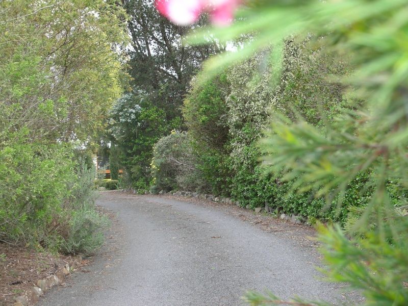 325 Winkliegh Road, Winkleigh TAS 7275
