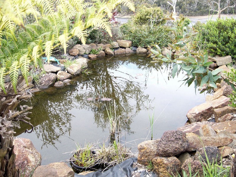 87  Gerzalia Drive, George Town TAS 7253