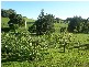 169 Stewarts Road, Winkleigh TAS 7275