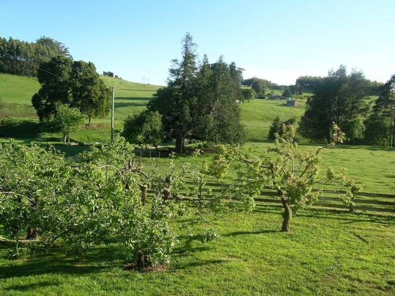 169 Stewarts Road, Winkleigh TAS 7275
