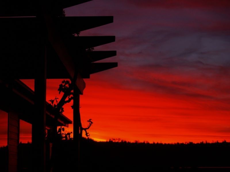 6  Weetman Street, Legana TAS 7277