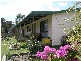 380 Badger Head Road, Badger Head TAS 7270