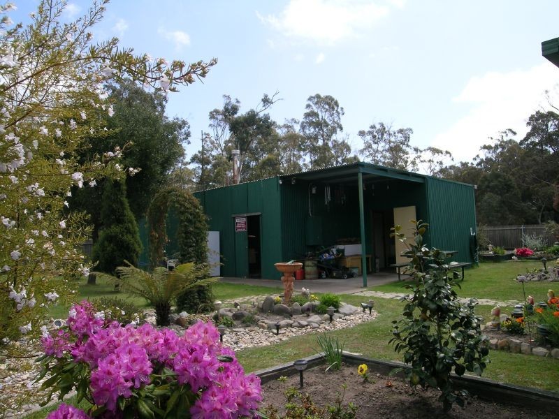 380 Badger Head Road, Badger Head TAS 7270