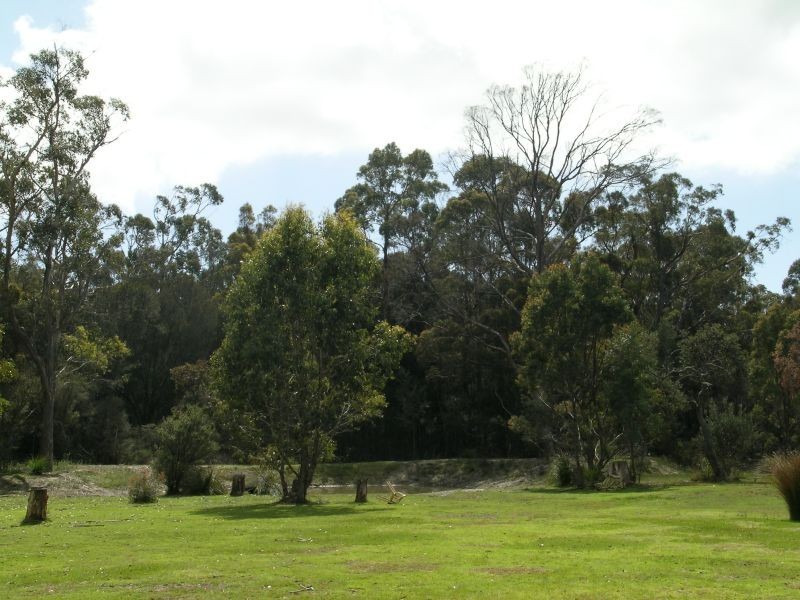 380 Badger Head Road, Badger Head TAS 7270