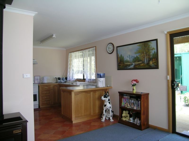 380 Badger Head Road, Badger Head TAS 7270
