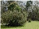 380 Badger Head Road, Badger Head TAS 7270