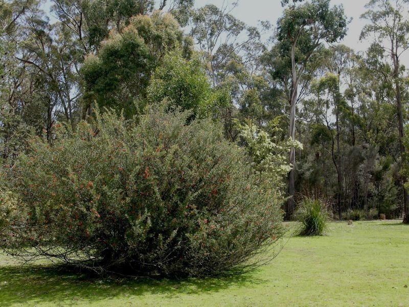 380 Badger Head Road, Badger Head TAS 7270