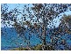 166 Gardners Road, Greens Beach TAS 7270