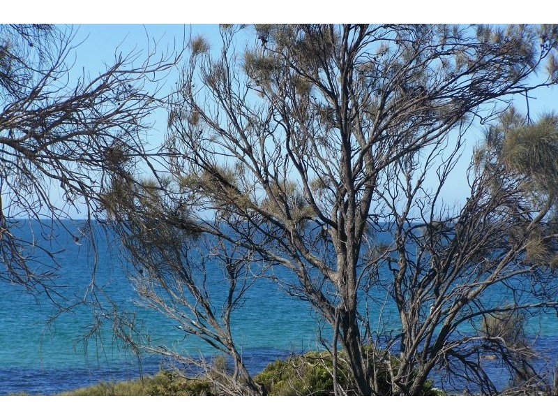 166 Gardners Road, Greens Beach TAS 7270
