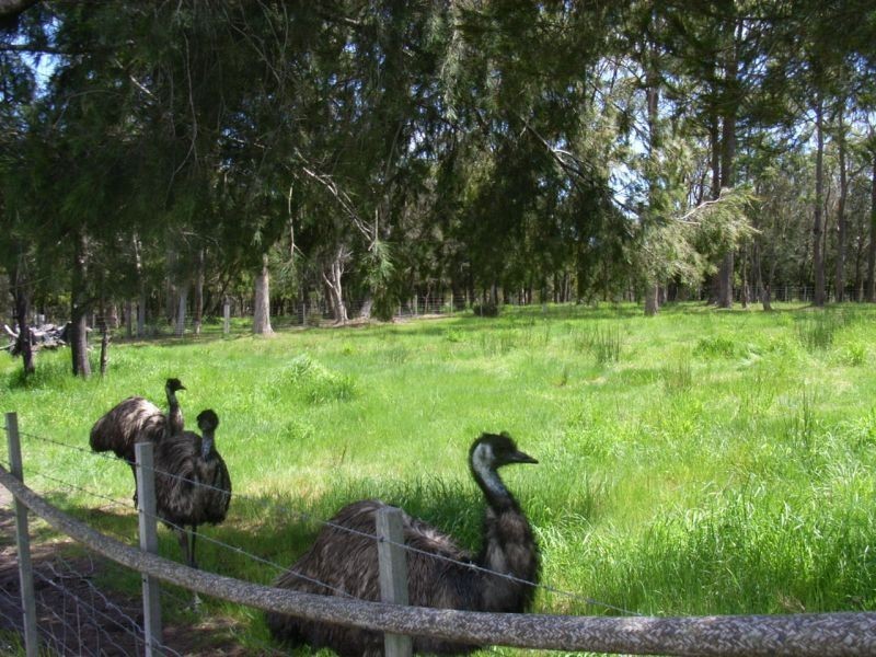 400  Auburn Road, Beaconsfield TAS 7270