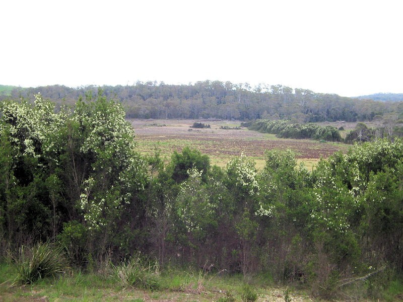 Bridport Road, Pipers Brook TAS 7254
