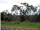 Bridport Road, Pipers Brook TAS 7254