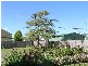 22 Scott Street, Beauty Point TAS 7270