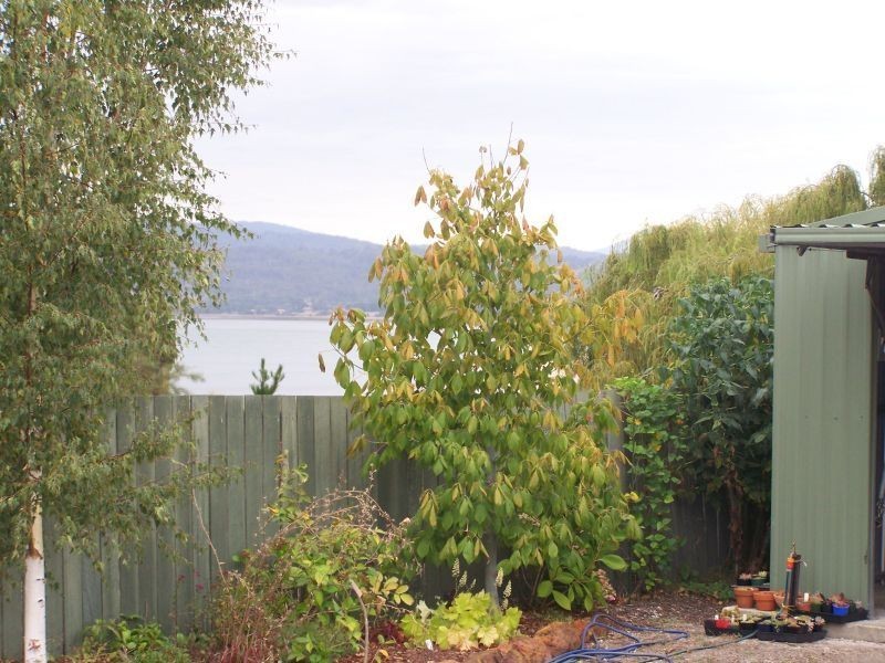 348  Gravelly Beach Road, Gravelly Beach TAS 7276