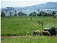 948 Windermere Road, Swan Bay TAS 7252