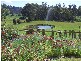 178  Notley Gorge Road, Bridgenorth TAS 7277