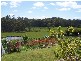 178  Notley Gorge Road, Bridgenorth TAS 7277
