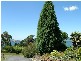 79 Robert Street, Beauty Point TAS 7270