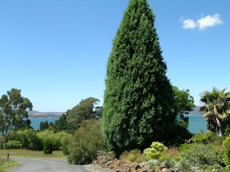 79 Robert Street, Beauty Point TAS 7270