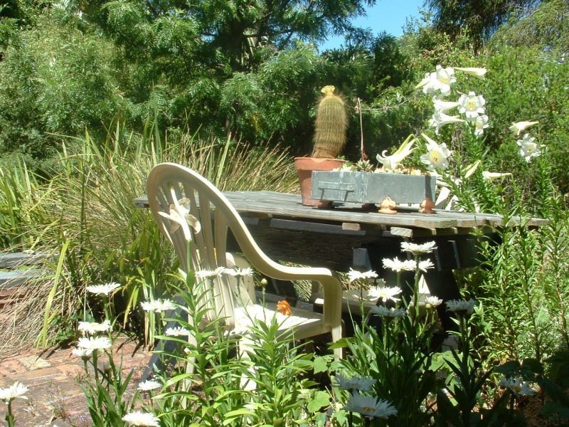 1  Riverview Road, Riverside TAS 7250