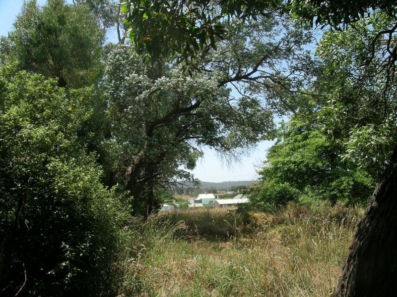 5  Reibey Street, Beaconsfield TAS 7270