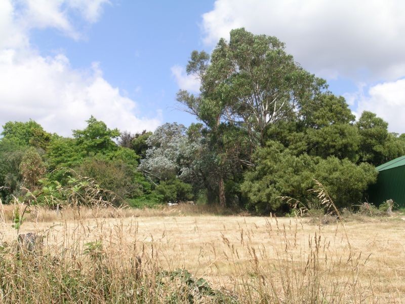 5  Reibey Street, Beaconsfield TAS 7270