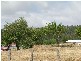 1 Reibey Street, Beaconsfield TAS 7270