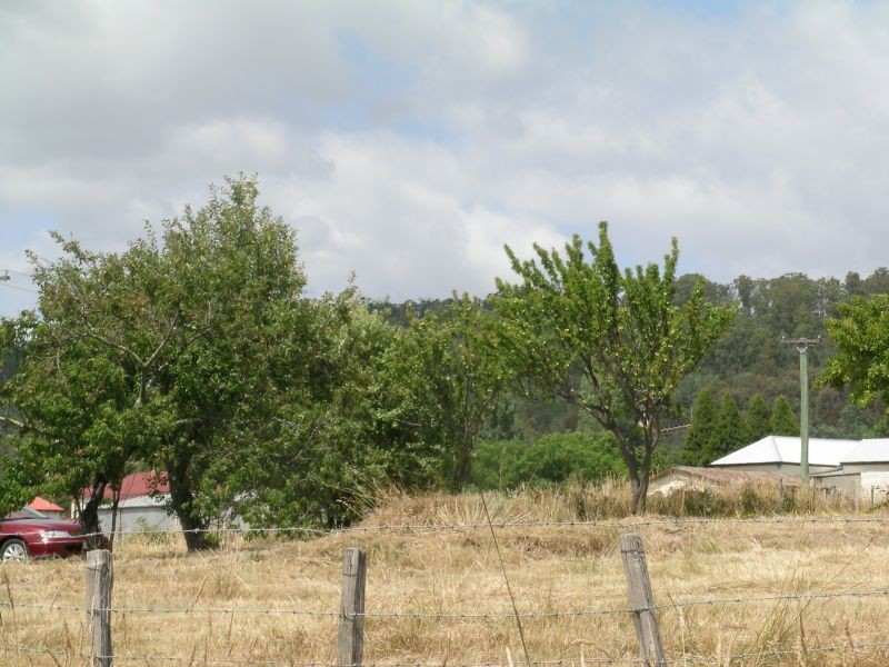 1 Reibey Street, Beaconsfield TAS 7270