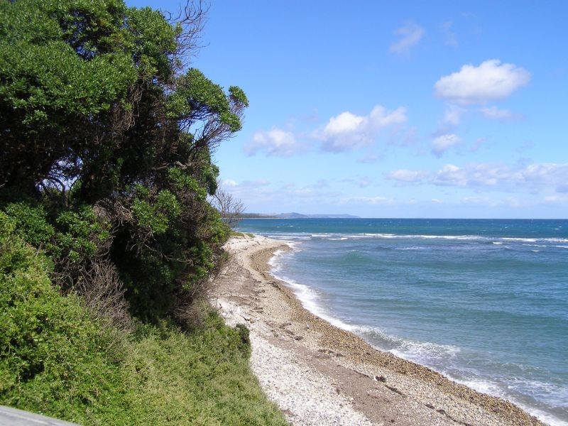 8  Clerke Street, Leith TAS 7315